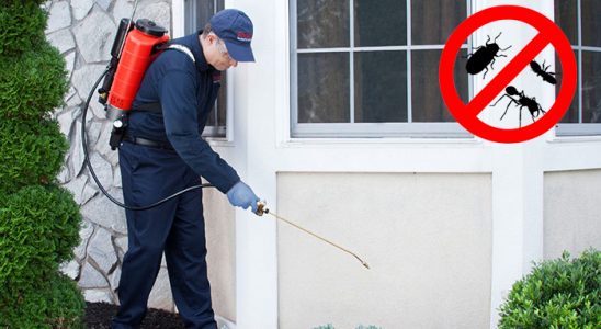 Gülağaç Dezenfeksiyon böcek ilaçlama ve haşere kontrolü — ilaclama-tr.com